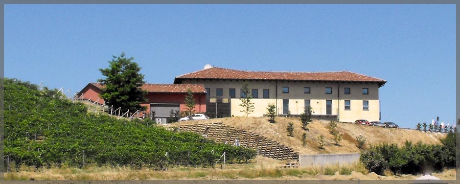 L'AZIENDA